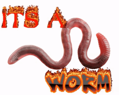 Worm with It s a Worm Text