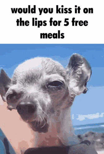 Would You Kiss The Ugly Dog GIF