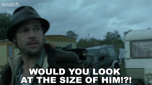 Would You Look At That Brad Pitt GIF