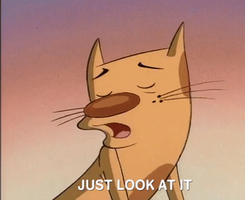 Would You Look At That Catdog Nicksplat GIF