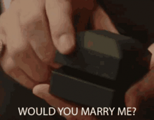 Would You Marry Me GIF