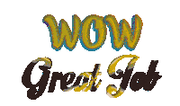 Wow Good Job Sticker GIF