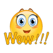 Wow Omg Wow Meme GIF