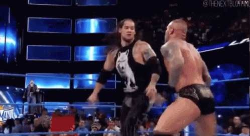 Wrestler Before Crowd Behind Barrier GIF