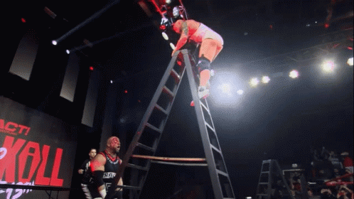Wrestler Climbing Ladder With Koll Banner