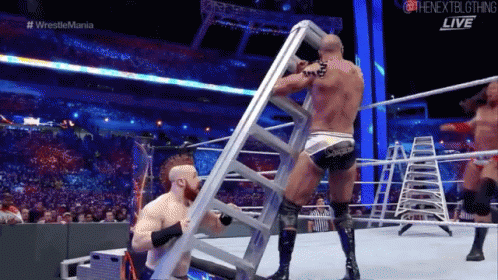 Wrestler Holding Ladder In Match GIF