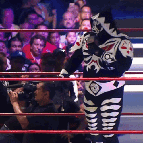 Wrestler in Black and White Skeleton Costume in Ring