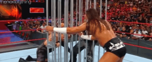 Wrestler In Cage GIF