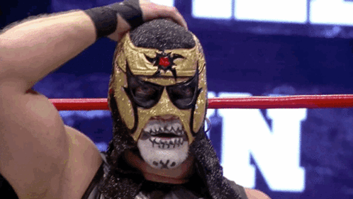 Wrestler in Mask Holding Head in Ring with Letter N