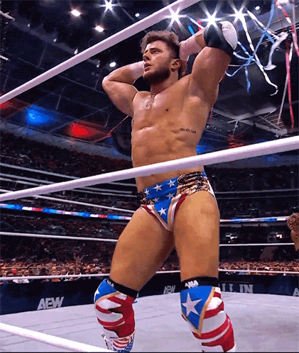Wrestler in Ring With AEW