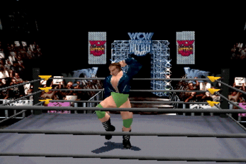 Wrestler in Ring With Wow Wall