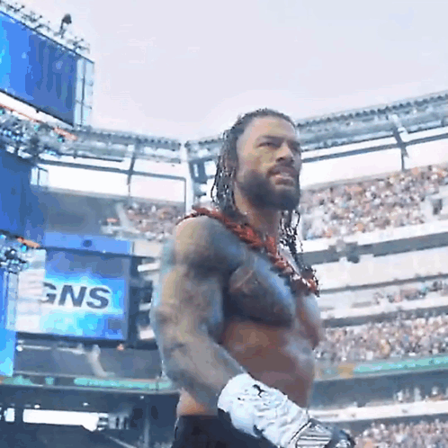 Wrestler In Stadium Crowd With GNS Sign GIF