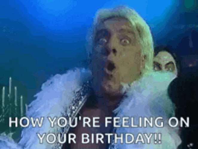 Wrestler Ric Flair Its Your Birthday Feeling GIF