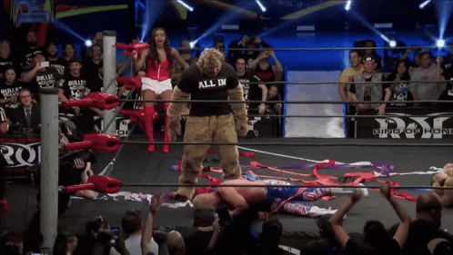 Wrestler With All In Shirt in Ring
