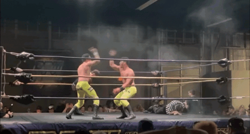 Wrestlers Fighting In Ring GIF