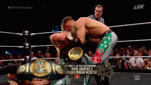 Wrestlers Fighting In Ring GIF