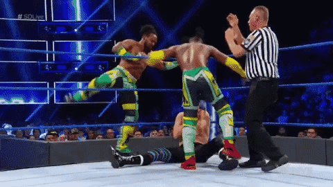 Wrestlers Fighting In Ring GIF