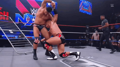 Wrestlers Fighting In Ring GIF