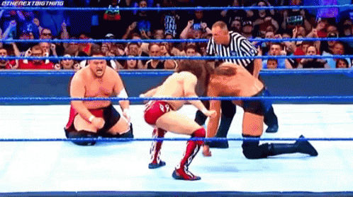 Wrestlers Fighting In Ring With Referee GIF