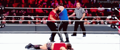 Wrestlers Fighting In Ring With Referee NextBigThing GIF