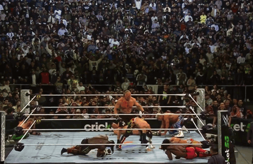 Wrestlers in Ring With Cricket Sign