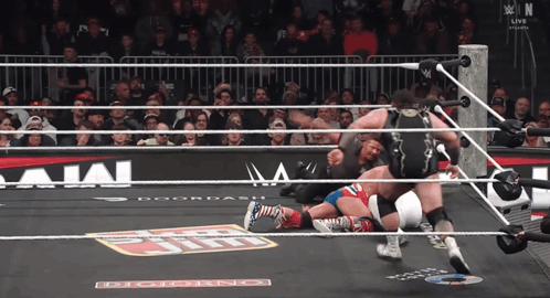 Wrestlers in Ring With Doordash Sign