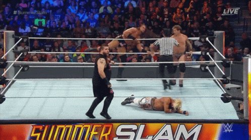 Wrestlers in Ring With Summer Slam