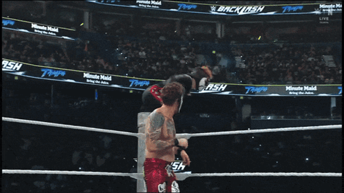 Wrestlers in Wrestling Ring With Backlash Banner