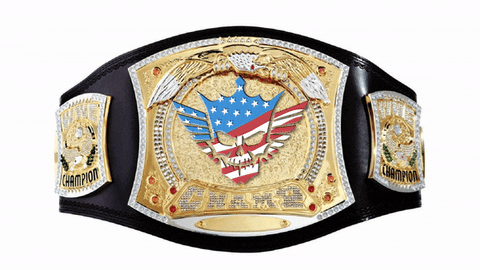 Wrestling Belt With Spinner GIF