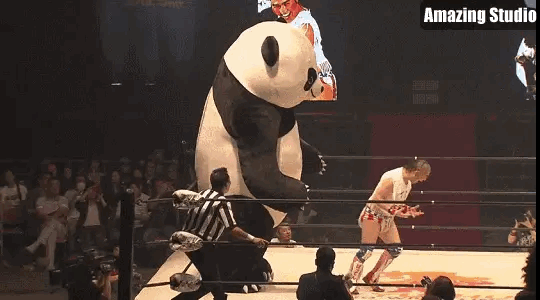 Wrestling Fight With Giant Panda GIF