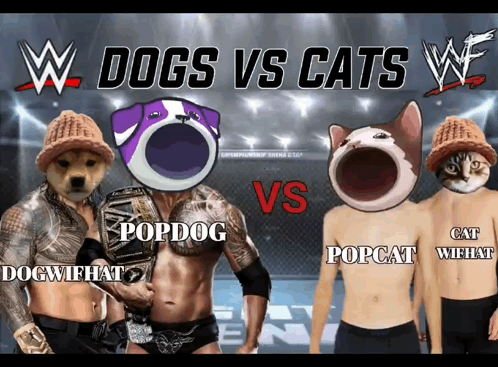 Wrestling Match Between Dogs And Cats With Popdog And Cat Wihat GIF