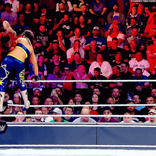 Wrestling Match Crowd Sign The Next Big Thing GIF