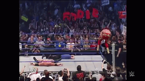 Wrestling Match In Front Of Crowd Saying GDR GIF
