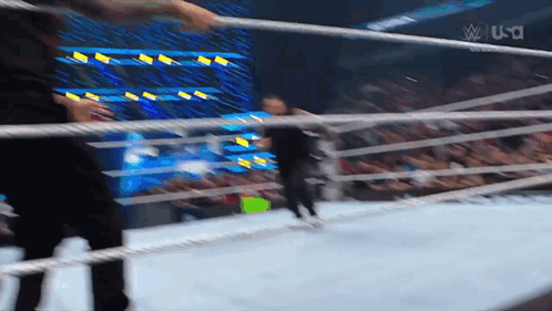 Wrestling Match in Ring With Crowd