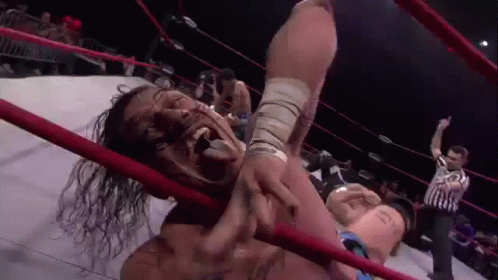 Wrestling Match In Ring With Referee GIF