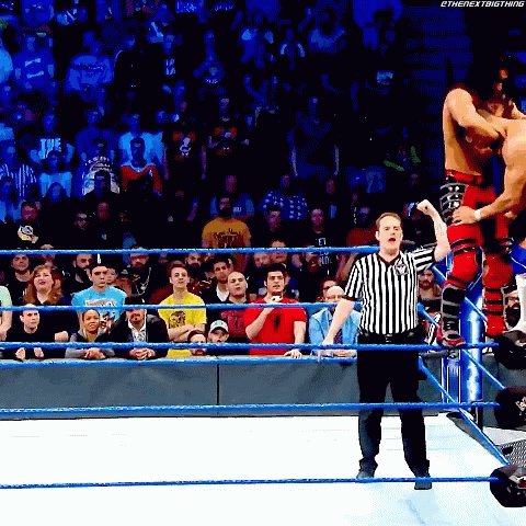 Wrestling Match on Houston TV