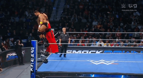 Wrestling Match On TV Screen GIF