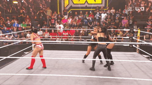 Wrestling Match on USA