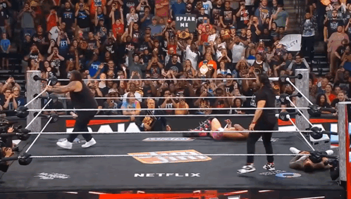 Wrestling Ring With Netflix Logo