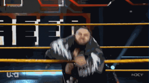 Wrestling Ring With NXT Logo