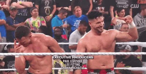Wrestling Ring With Paul Levesque And Shawn Michaels GIF