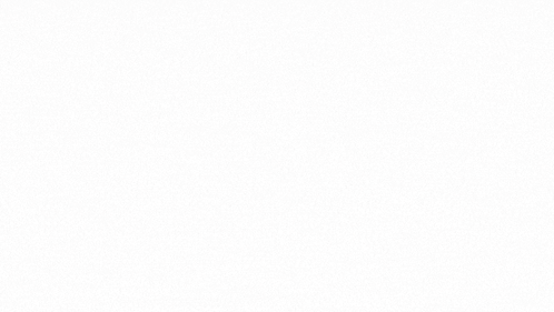 Wrexham We've Got Rosie GIF