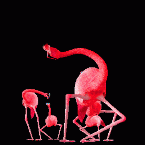 Wriggling Flamingo GIF