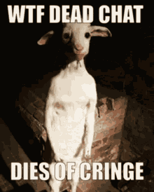 Wtf Dead Chat Cringe GIF