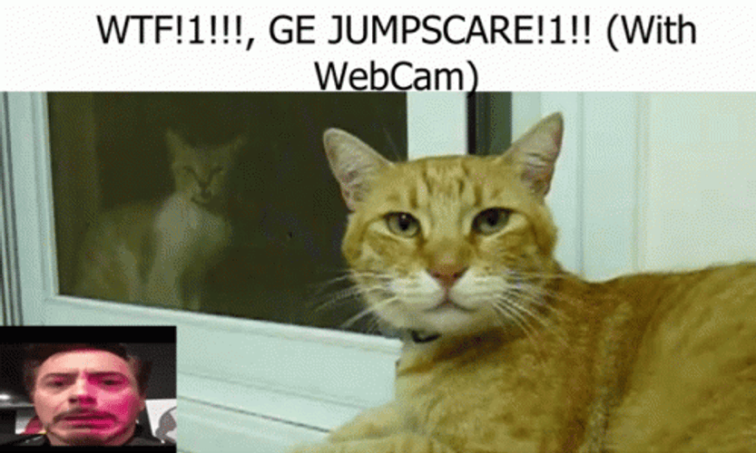 Wtf Jumpcare Webcam GIF