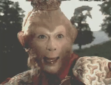 Wukong Monkey King Real Life GIF