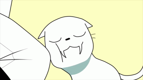 White Cat Wut Surprised Big Eyes GIF