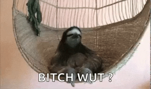 Wut Sloth Seating On Swing GIF