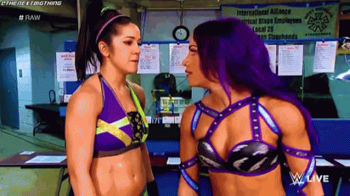 Wwe Divas Sasha Banks Hair Snatch GIF