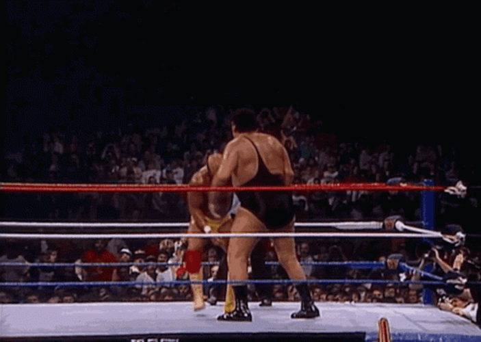 WWE Hulk Hogan Body Slam Andre The Giant GIF